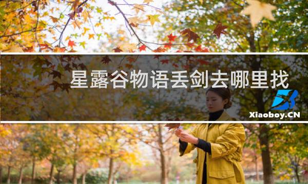 星露谷物语丢剑去哪里找