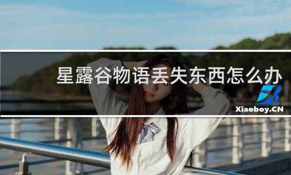 星露谷物语丢失东西怎么办