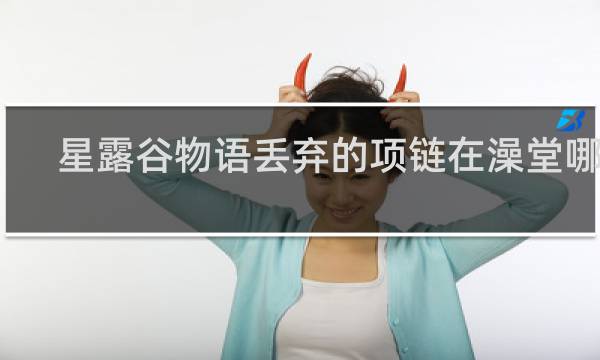 星露谷物语丢弃的项链在澡堂哪里