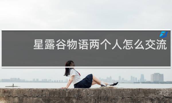 星露谷物语两个人怎么交流
