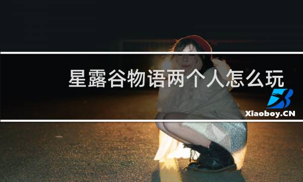星露谷物语两个人怎么玩