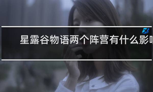 星露谷物语两个阵营有什么影响
