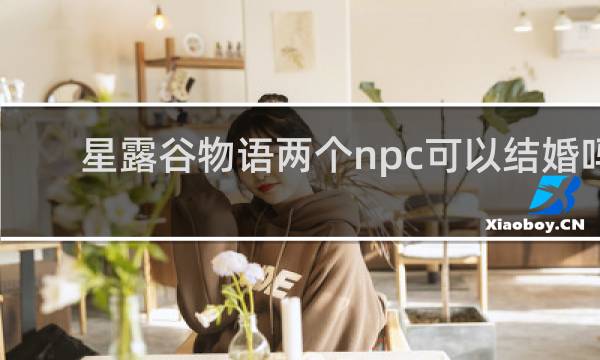 星露谷物语两个npc可以结婚吗