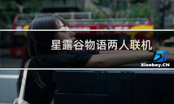 星露谷物语两人联机