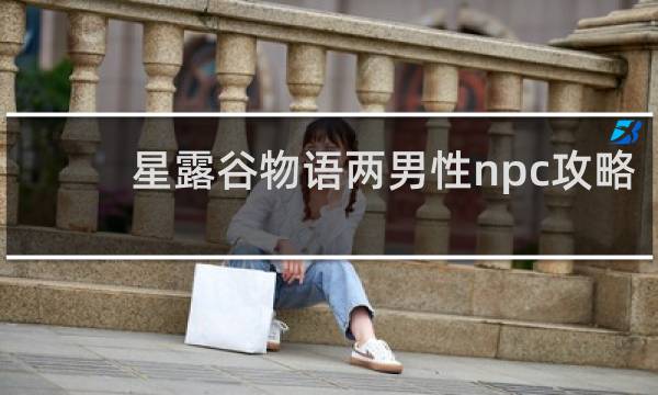 星露谷物语两男性npc攻略