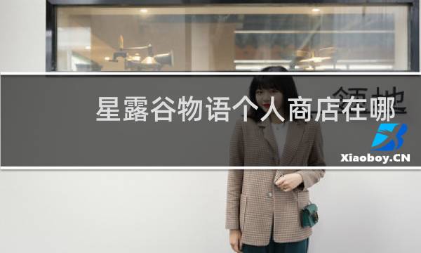 星露谷物语个人商店在哪