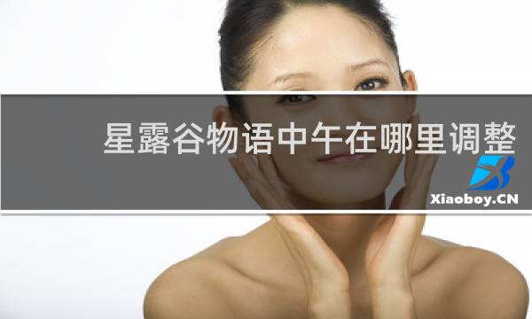 星露谷物语中午在哪里调整