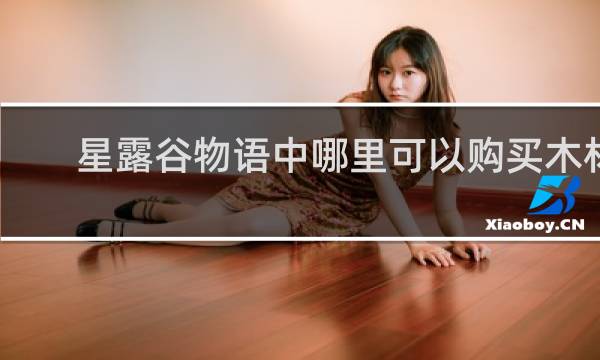 星露谷物语中哪里可以购买木材