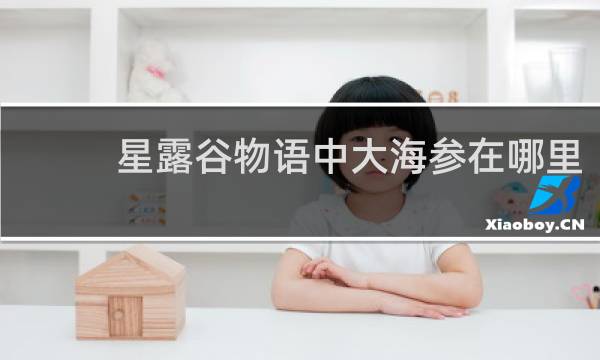 星露谷物语中大海参在哪里