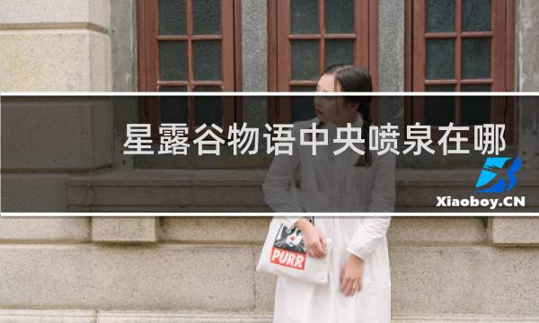 星露谷物语中央喷泉在哪