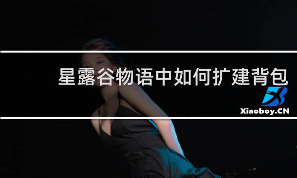 星露谷物语中如何扩建背包