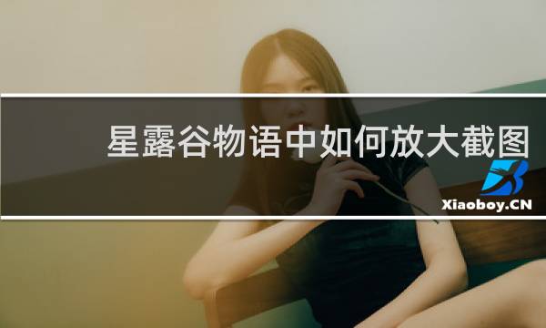星露谷物语中如何放大截图