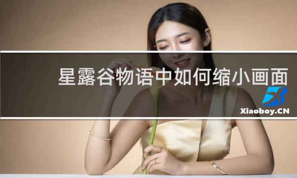 星露谷物语中如何缩小画面