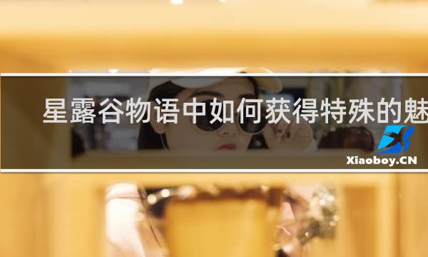 星露谷物语中如何获得特殊的魅力