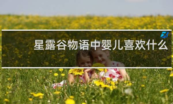 星露谷物语中婴儿喜欢什么