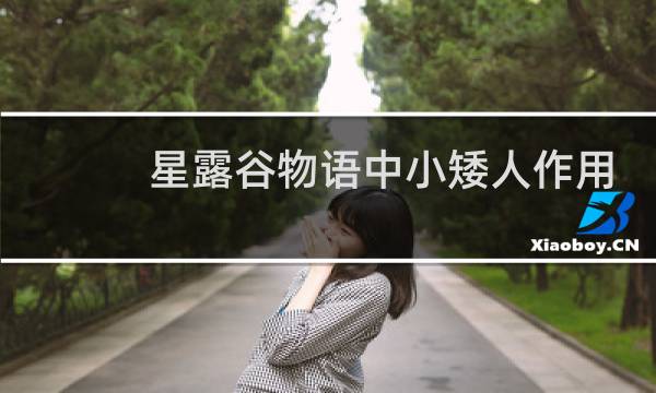 星露谷物语中小矮人作用