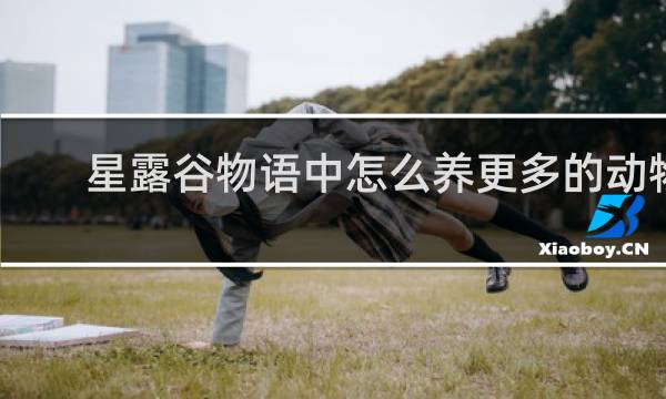星露谷物语中怎么养更多的动物