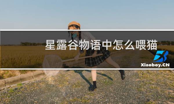 星露谷物语中怎么喂猫