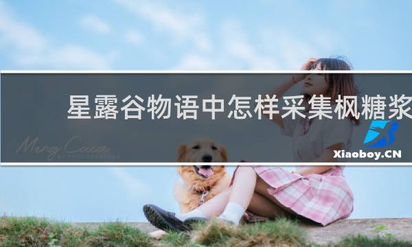 星露谷物语中怎样采集枫糖浆