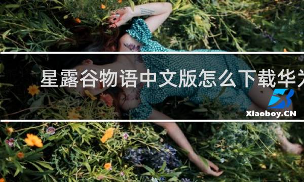 星露谷物语中文版怎么下载华为