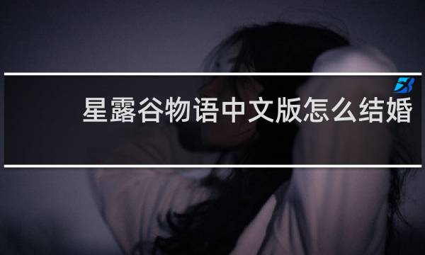 星露谷物语中文版怎么结婚