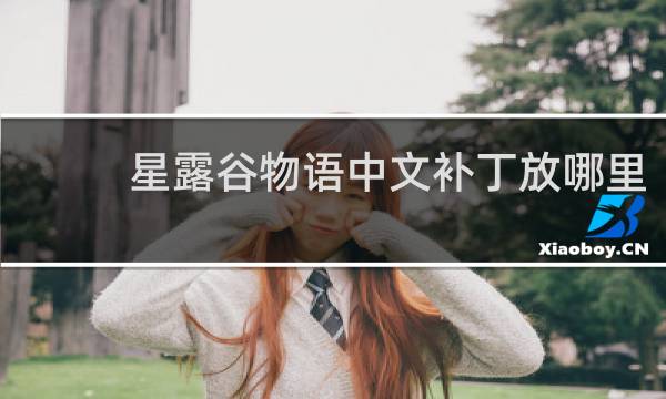 星露谷物语中文补丁放哪里