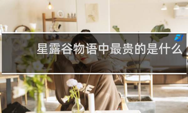 星露谷物语中最贵的是什么