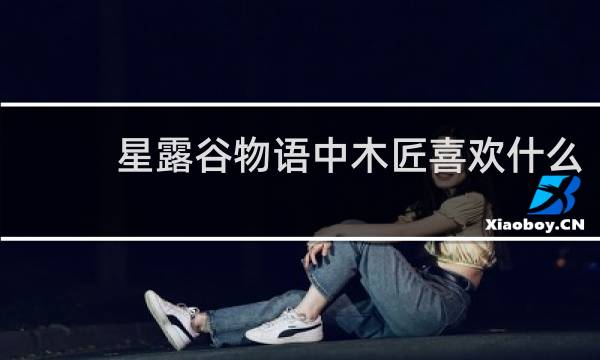 星露谷物语中木匠喜欢什么