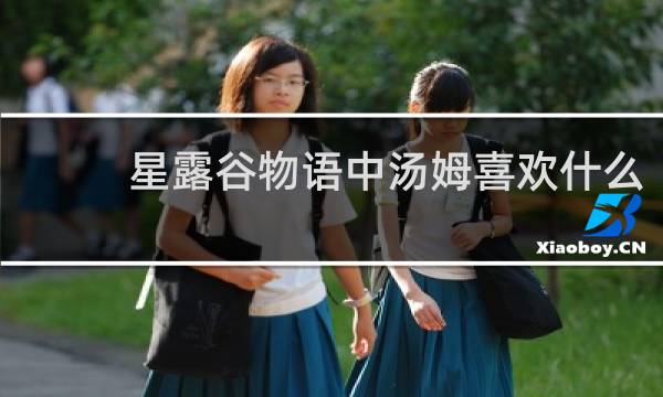 星露谷物语中汤姆喜欢什么