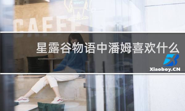 星露谷物语中潘姆喜欢什么