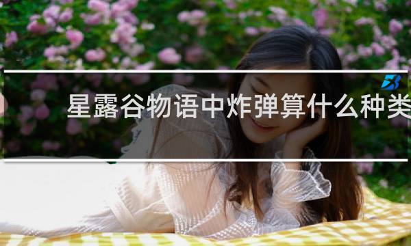 星露谷物语中炸弹算什么种类