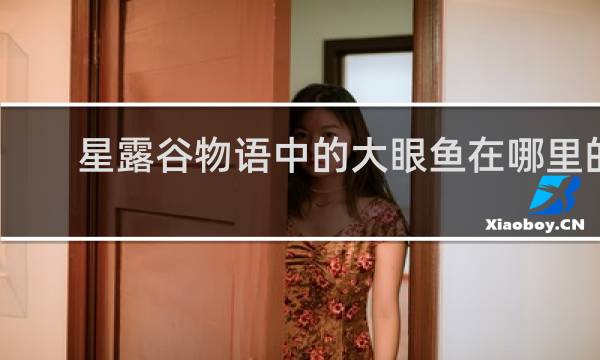 星露谷物语中的大眼鱼在哪里的