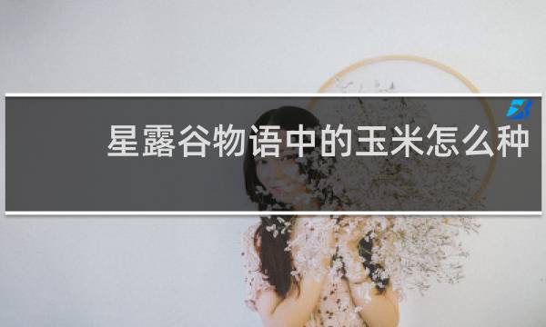 星露谷物语中的玉米怎么种