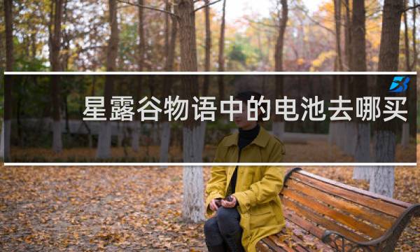 星露谷物语中的电池去哪买