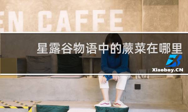 星露谷物语中的蕨菜在哪里