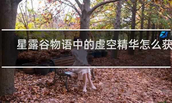 星露谷物语中的虚空精华怎么获得