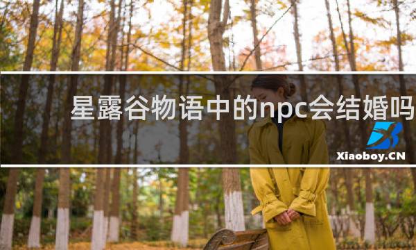 星露谷物语中的npc会结婚吗