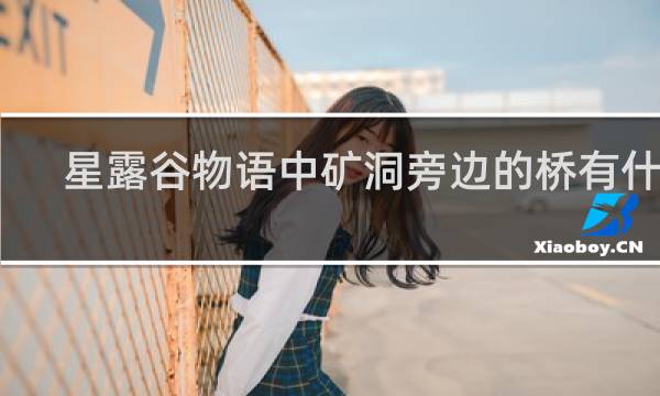 星露谷物语中矿洞旁边的桥有什么