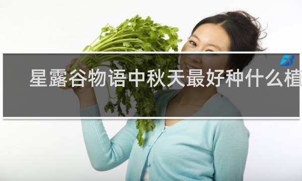 星露谷物语中秋天最好种什么植物