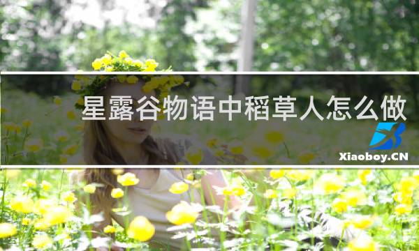 星露谷物语中稻草人怎么做