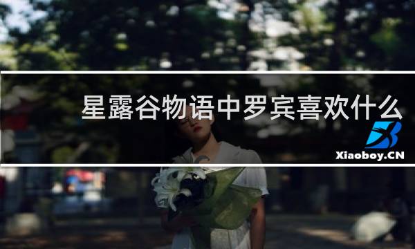 星露谷物语中罗宾喜欢什么