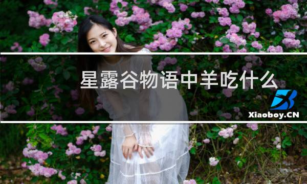 星露谷物语中羊吃什么