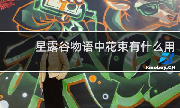 星露谷物语中花束有什么用