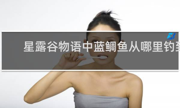 星露谷物语中蓝鲷鱼从哪里钓到