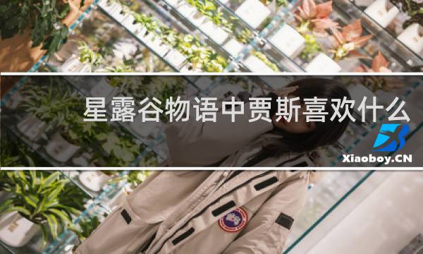 星露谷物语中贾斯喜欢什么