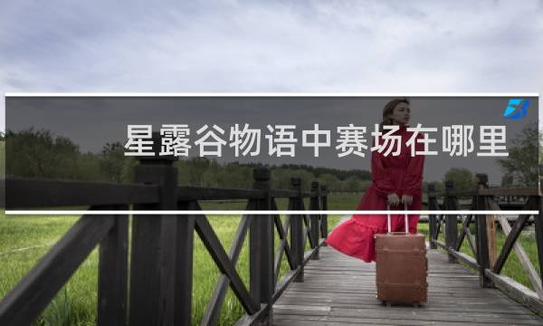 星露谷物语中赛场在哪里