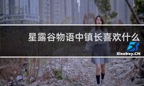 星露谷物语中镇长喜欢什么