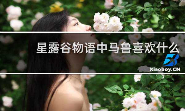 星露谷物语中马鲁喜欢什么