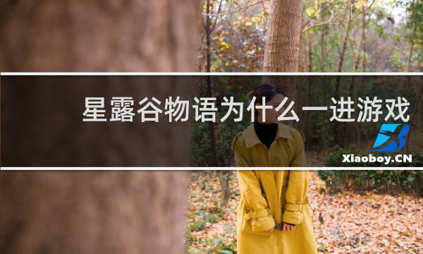 星露谷物语为什么一进游戏