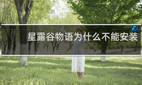 星露谷物语为什么不能安装